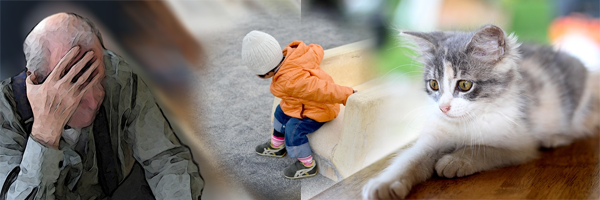 p20140525042.png